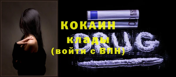 сатива Семилуки