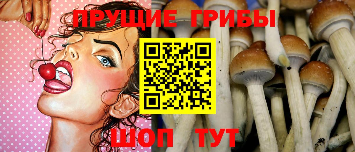 Галлюциногенные грибы прущие грибы  Галлюциногенные грибы Cubensis  Карталы  Вход с VPN 